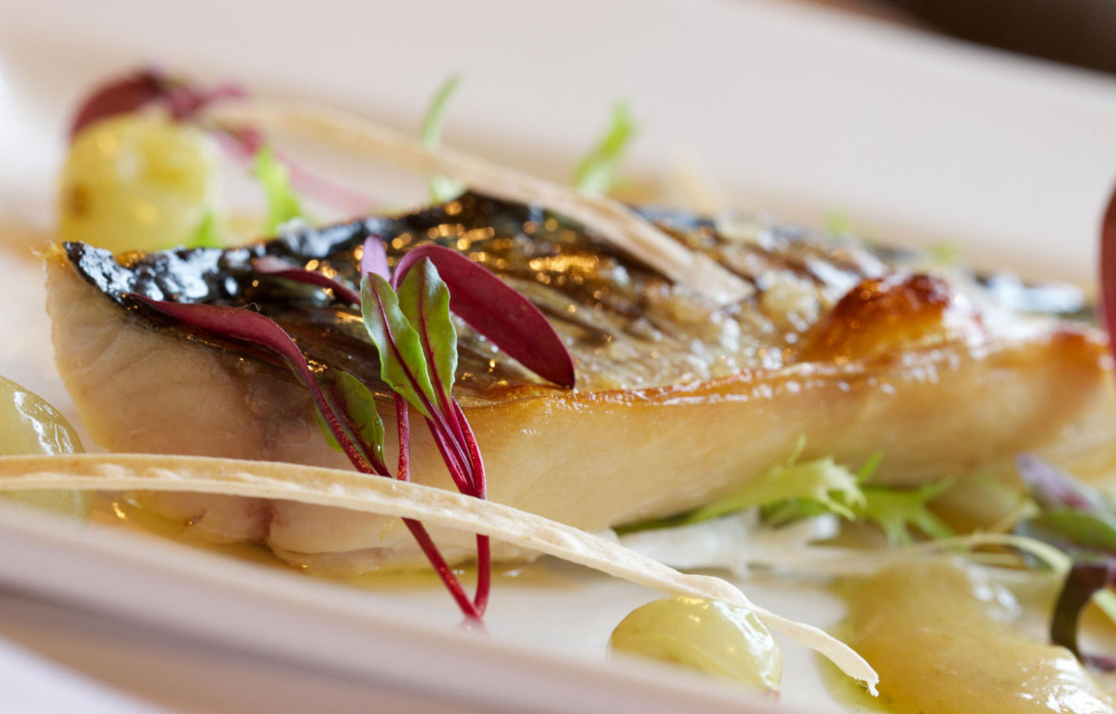 Gourmet Seafood Starter